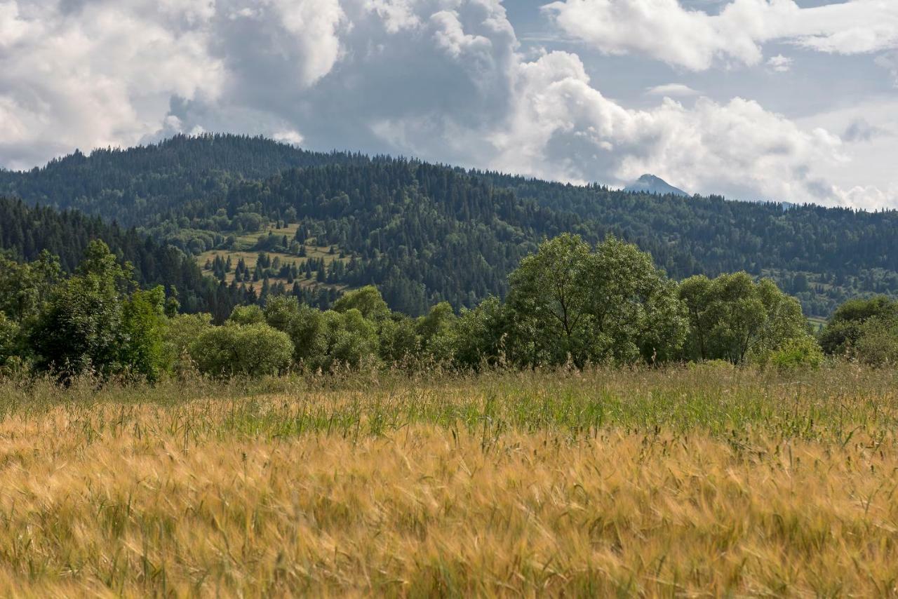 Domki U Kromki Kacwin Exterior foto